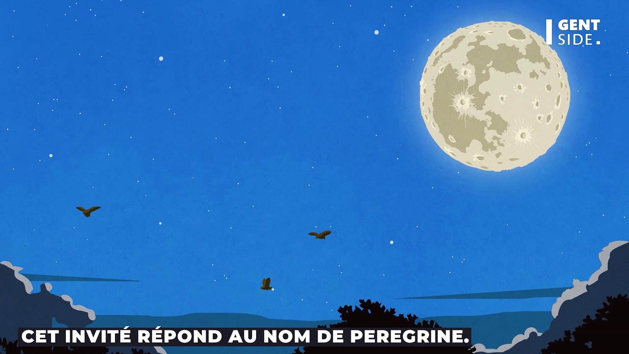 50 ans après, les Américains sont prêts à retourner sur la Lune et c'est pour bientôt