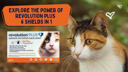 Explore the Power of Revolution Plus for Cats 6 Shields in 1 