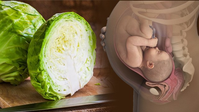 Patta Gobhi Pregnancy Me Khana Chahiye Ya Nahi | Can we eat Cabbage during Pregnancy | Boldsky