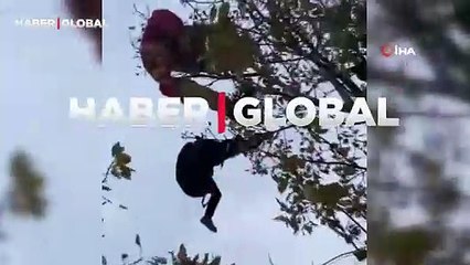 Korkunç anlar! Ağaçta asılı kalan paraşütçü kamerada