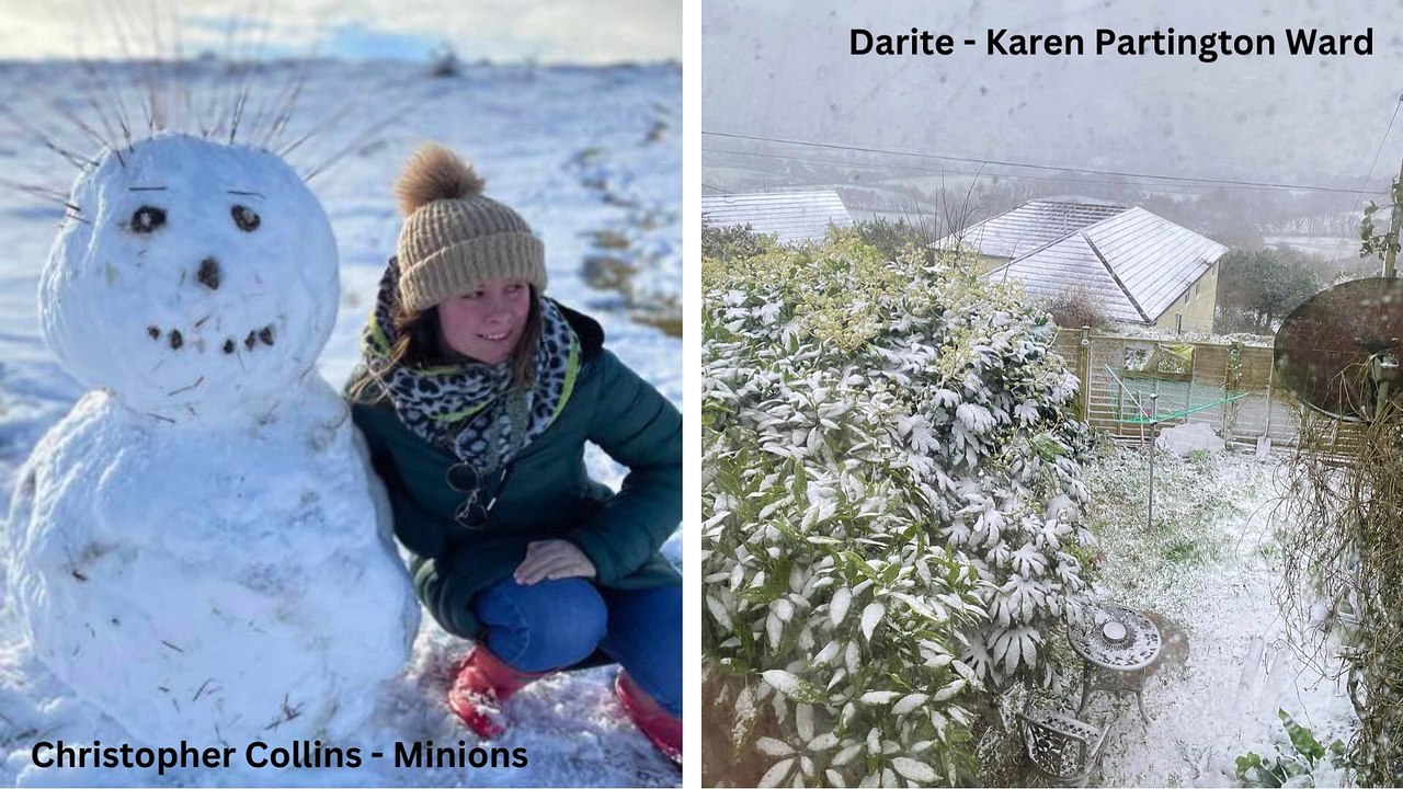 Picture This November - December