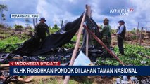 KLHK Riau Robohkan 36 Rumah yang Berdiri di Hutan Taman Nasional Tesso Nilo