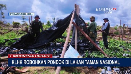 KLHK Riau Robohkan 36 Rumah yang Berdiri di Hutan Taman Nasional Tesso Nilo