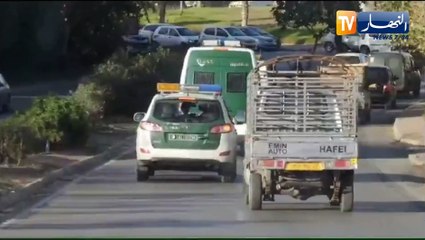 أقراص مهلوسة على شكل حلوى وأسلحة بيضاء.. هذا ما تم ضبطه خلال مداهمات لأوكار الإجرام بأرزيو