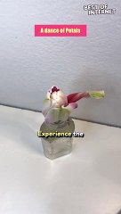 Floral Ballet: The Stargazer Lily's Dance of Life Unveiled!  || Best of Internet