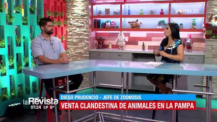 Venta clandestina de animales provoca un foco de infección de rabia en Cochabamba