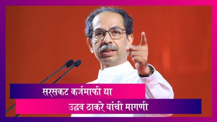 Download Video: Maharashtra: सरसकट कर्जमाफी द्या, नाहीतर नुकसान भरपाई द्या-Uddhav Thackeray यांची मागणी