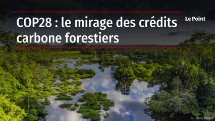 COP28 : le mirage des crédits carbone forestiers