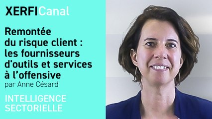 Remontée du risque client : les fournisseurs d'outils et services à l’offensive [Anne Césard]