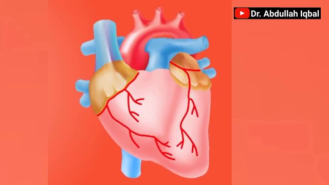 Thyroid ki Alamat _ Hyperthyroidism vs Hypothyroidism _ Thyroid Ka Test & Thyroi
