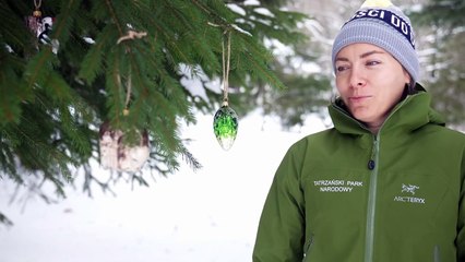 Zakopane - Tatry- niezwykłe bombki z TPN wzbogacą naszą choinkę