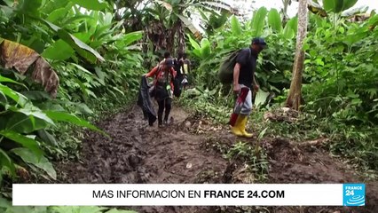 En 2023 casi 500.000 personas han cruzado la peligrosa selva del Darién