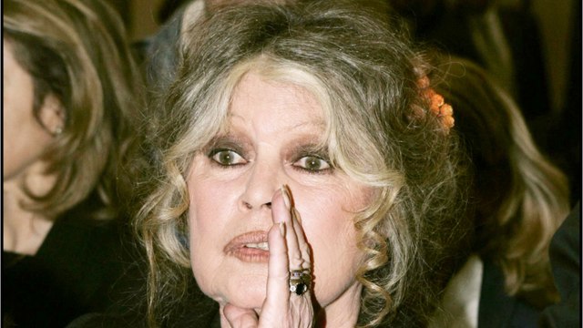 GALA VIDEO - Brigitte Bardot, son coup de gueule adressé à un ministre : “Je n’attends pas de miracle de Noël…”