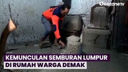Geger Kemunculan Semburan Lumpur di Rumah Warga Demak, Tim ESDM Temukan Kandungan Gas