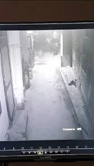 वीडियो रील बनाने के लिए युवकों ने गाडि़यों के शीशे फोड़े...देखें वीडियो