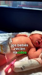 Datos del olfato humano