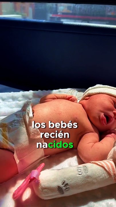 Datos del olfato humano