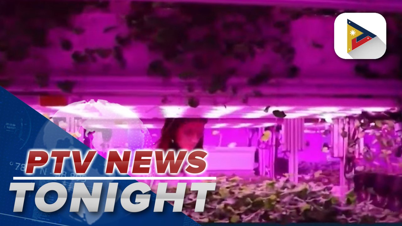 Ancient asteroid may hold clues on water’s origin on Earth