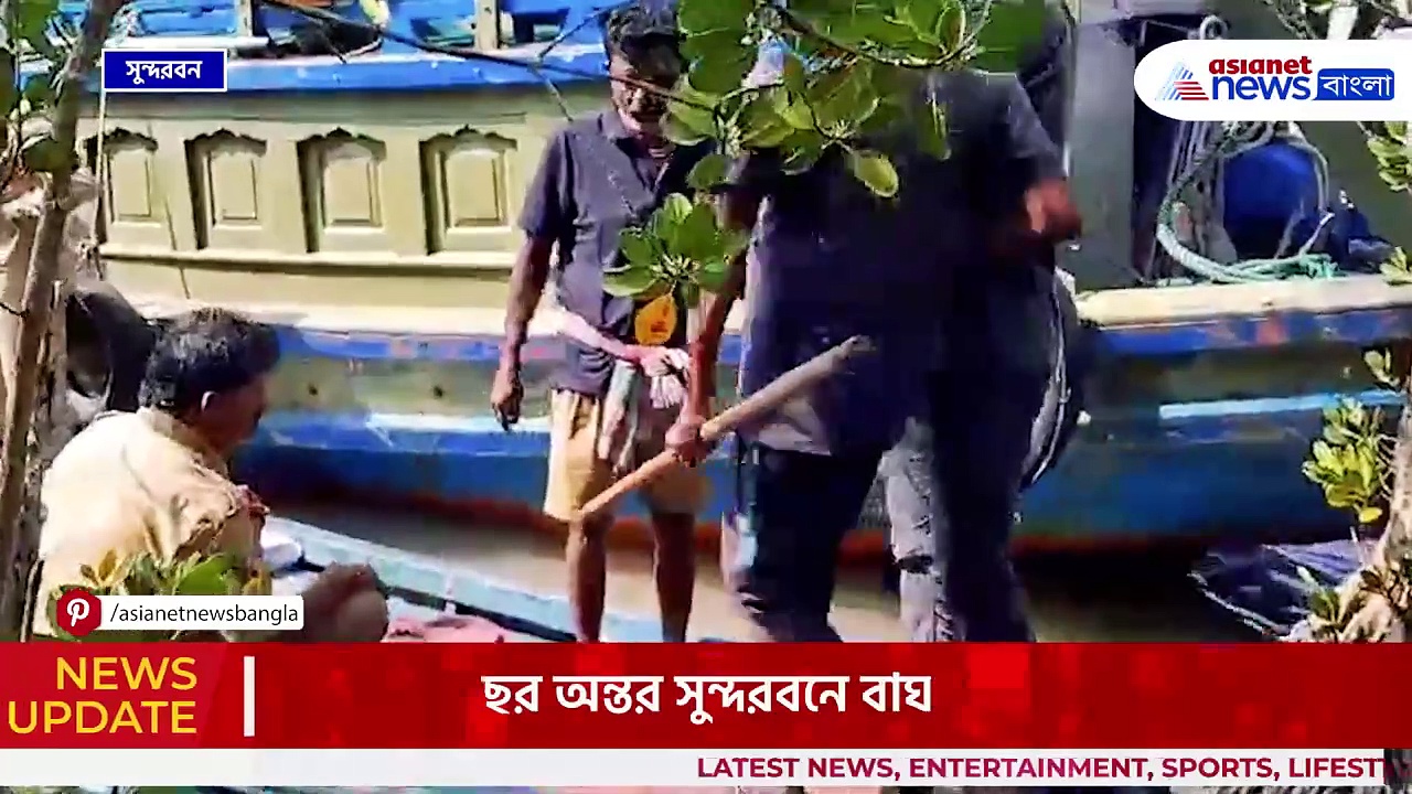 গভীর জঙ্গলে বসল একাধিক ট্র্যাপ ক্যামেরা, বাঘগণনার কাজ শুরু সুন্দরবনে