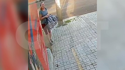Repugnante: Mulher é flagrada abandonado gato dentro de caixas no Centro de Cascavel
