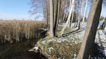 Dziennik Zachodni / Pławniowice Jezioro w Zimowej Szacie / Arkadiusz Gola
