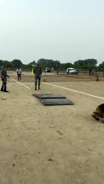 श्रेष्ठ श्वान का चयन प्रतियोगिता संपन्न,,,देखें वीडियो