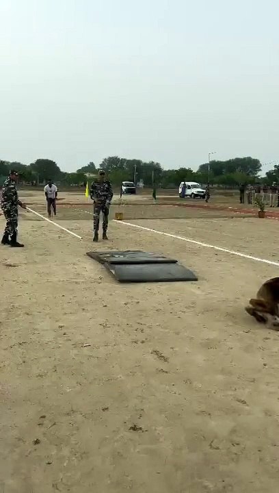 श्रेष्ठ श्वान का चयन प्रतियोगिता संपन्न,,,देखें...