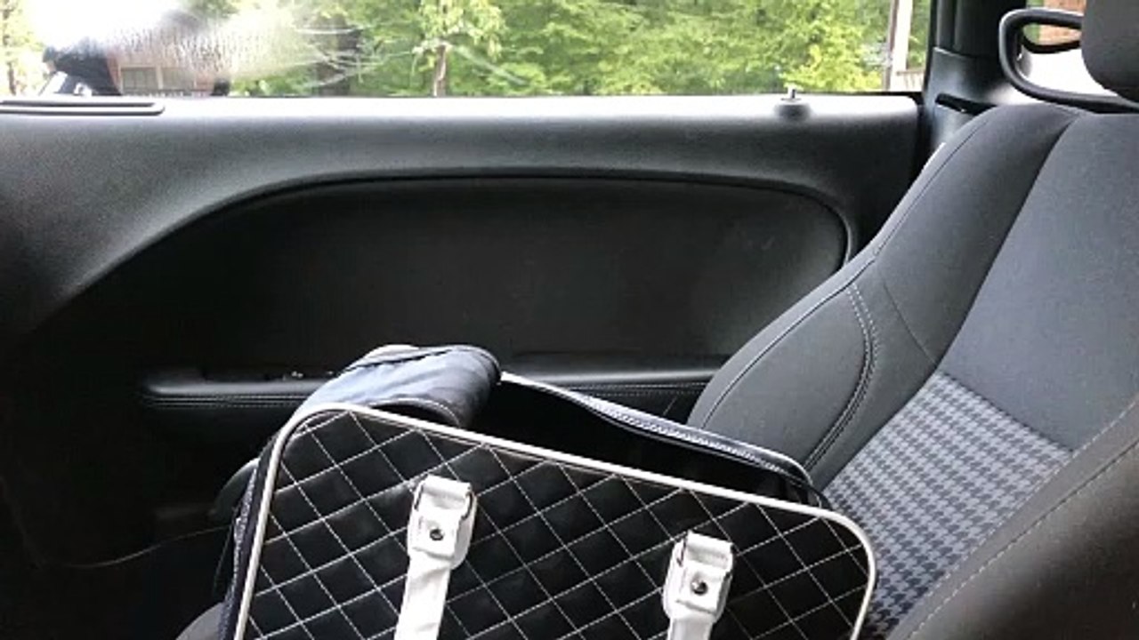 Yorkipoo Smuggled In Comfy Black Bag