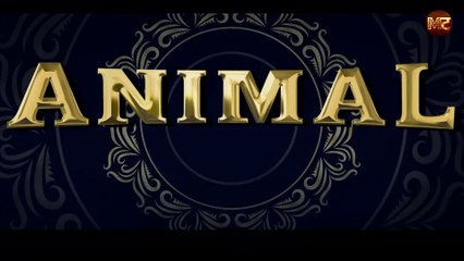 क्या आप भी कर रहे हैं Animal देखने की प्लानिंग? जानें first day first show देखने गए फैंस Review ||