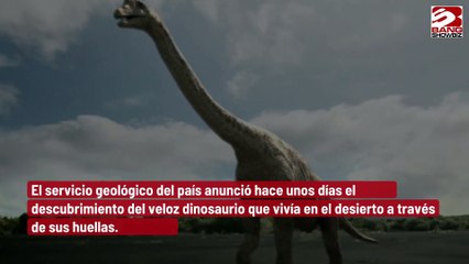 Expertos identifican una nueva especie de dinosaurio en Brasil