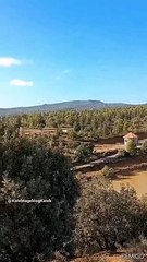 تلاوة  قرآنية