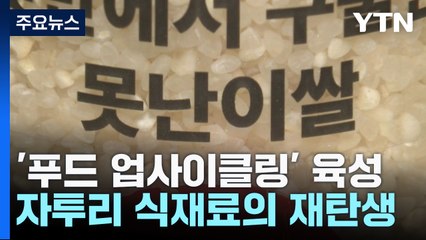 깨진 쌀로 만든 과자...정부, '푸드 업사이클링' 육성한다 / YTN