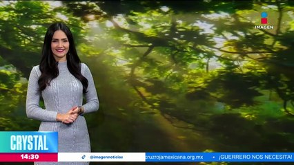 Frente frío número 13 llegará al Valle de México este domingo