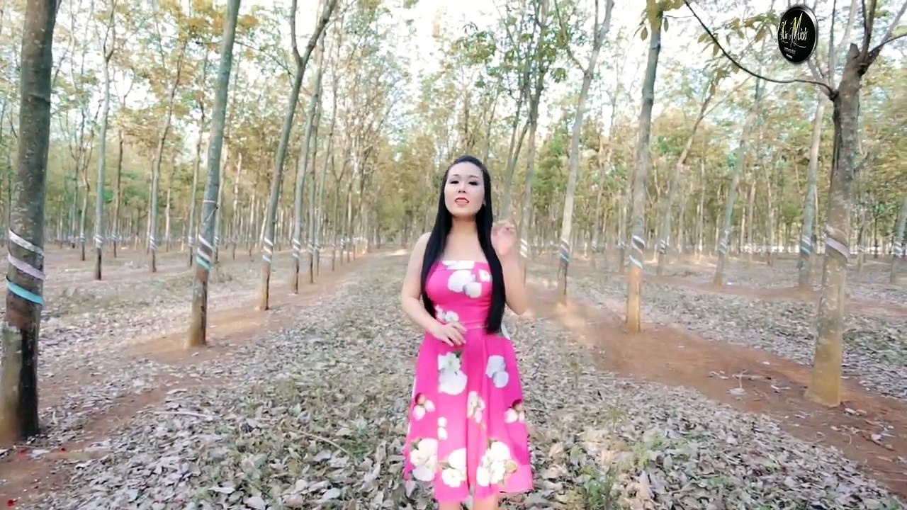 Neu duoc lam nguoi tinh - Luu Anh Loan