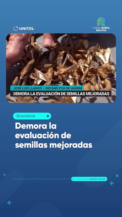 Demora la evaluación de semillas mejoradas