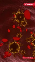 “Mycoplasma”, la principal sospecha del brote de neumonía en China. Desde mediados de octubre de 2023, la  OMS ha observado un aumento inusual de enfermedades respiratorias sin diagnosticar, similares a la neumonía, en niños en el norte de China
