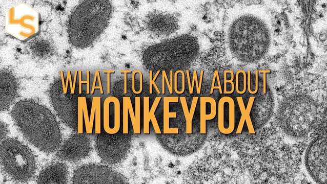 Monkeypox Explainer