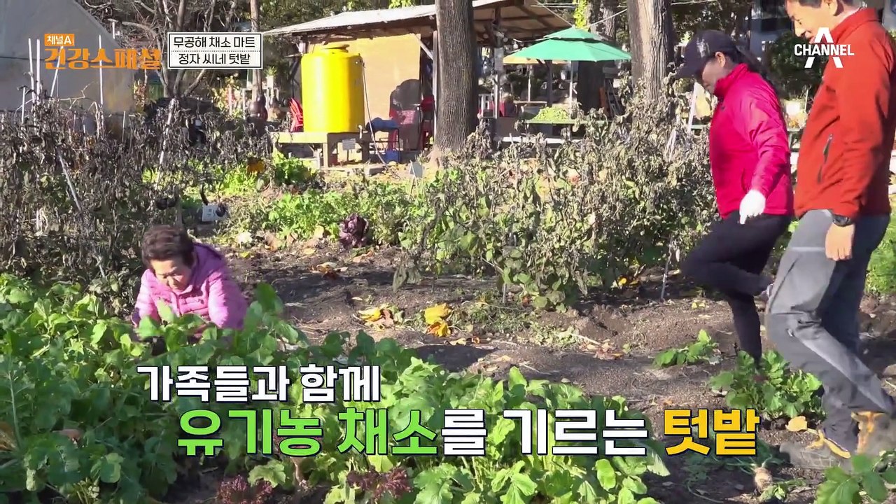 혈당은 낮추고 영양은 높인 건강 밥상! 당뇨를 극복한 그녀의 건강 비법은?