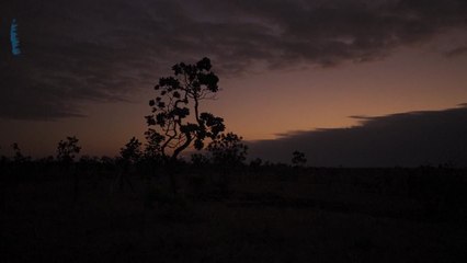 Habitantes de la Región Esequiba preocupados por el referendo venezolano