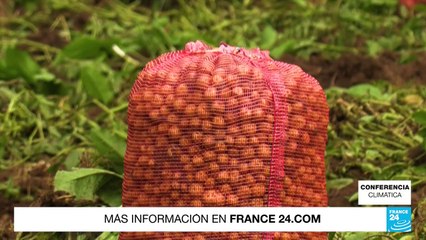 COP28: líderes se comprometen a apoyar la agricultura sostenible
