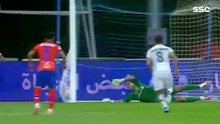 ملخص مباراة الفيحاء 2 - 4 ضمك _ الجولة 15 دوري روشن السعودي موسم 2023-2024(360P)