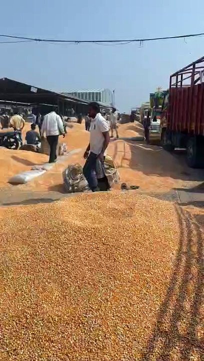 Farmers' faces blossom for the first time in the season