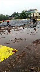 #Weather जबलपुर में पिछले 24 घंटे में 14.8 मिमी बारिश - देखें वीडियो