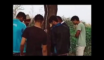 अब ग्रेटर नोएडा में नीम के पेड़ से निकल रहा दूध, देखेें वीडियो