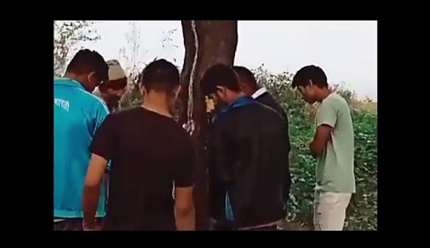 अब ग्रेटर नोएडा में नीम के पेड़ से निकल रहा दूध, देखेें वीडियो