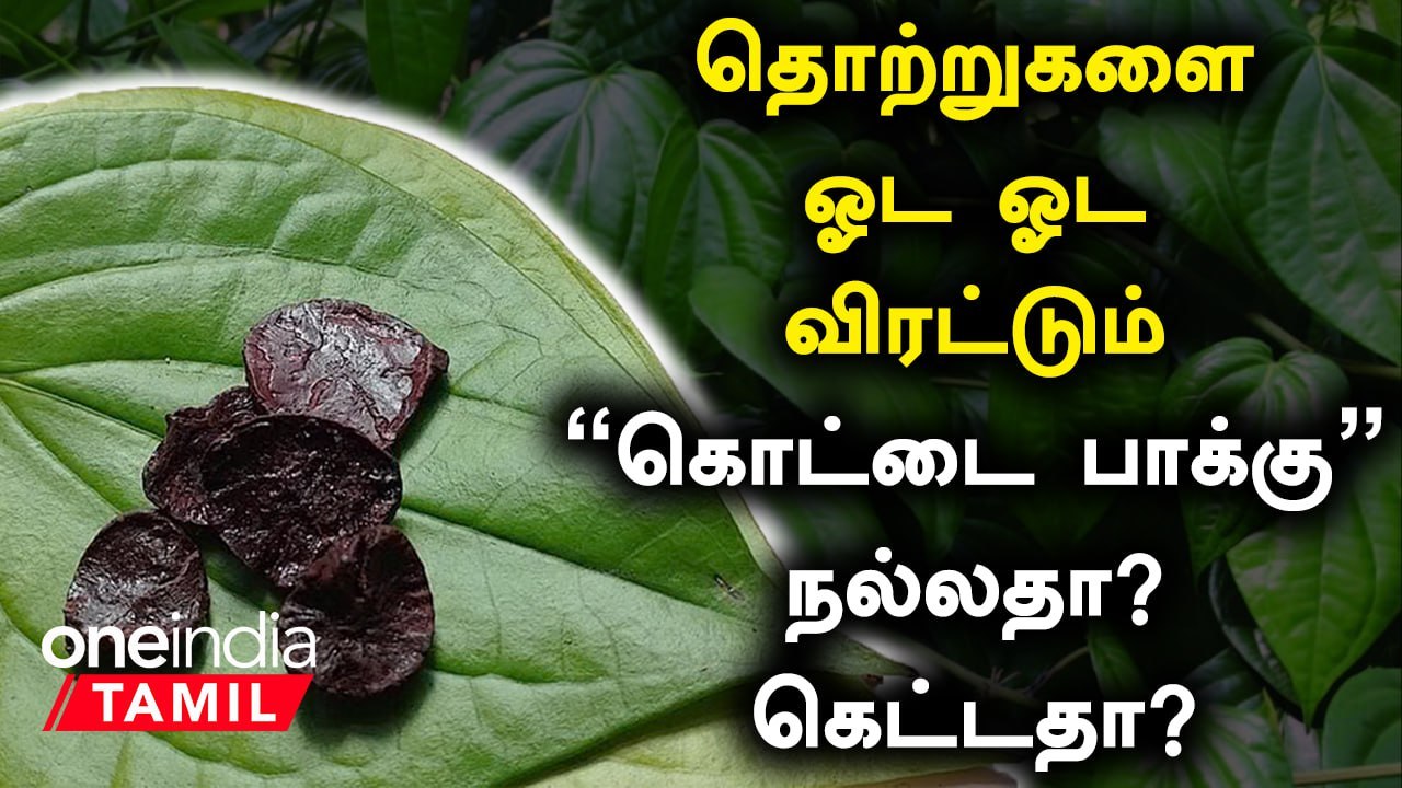 கொட்டை பாக்கு! கொட்டிக்கிடக்கும் நன்மை Betel Nuts Benefits in Tamil