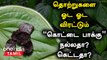 கொட்டை பாக்கு! கொட்டிக்கிடக்கும் நன்மை |Betel Nuts Benefits in Tamil |Kottai Pakku Benefits in Tamil