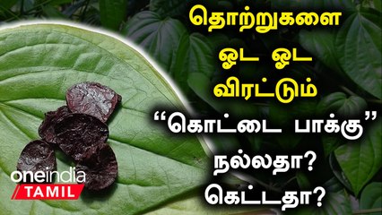 கொட்டை பாக்கு! கொட்டிக்கிடக்கும் நன்மை |Betel Nuts Benefits in Tamil |Kottai Pakku Benefits in Tamil