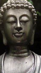 A Journey into Plant-Based Nutrition