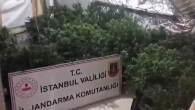 Uyuşturucu serasına çevrilen kiralık villaya baskın